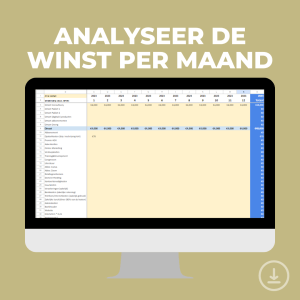 De winst per maand